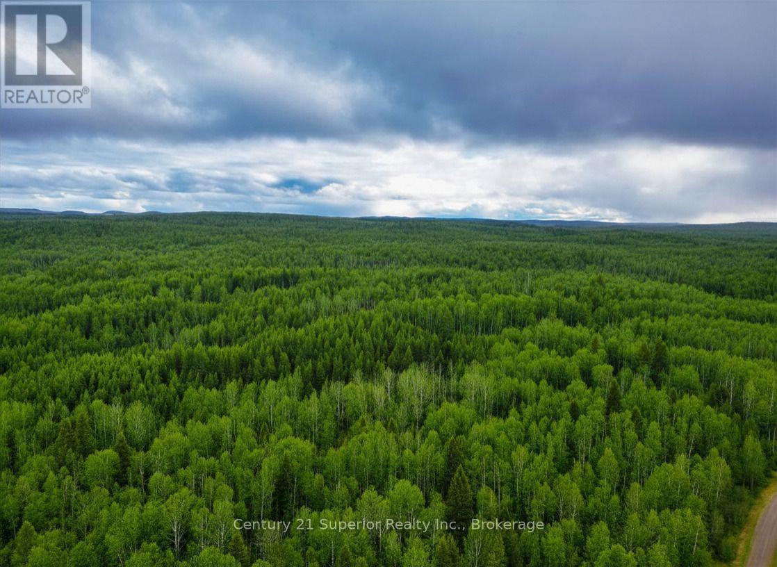 N 1/2 L 10 Centre Road, Thunder Bay Remote Area, Ontario  P0T 1X0 - Photo 13 - X13244858