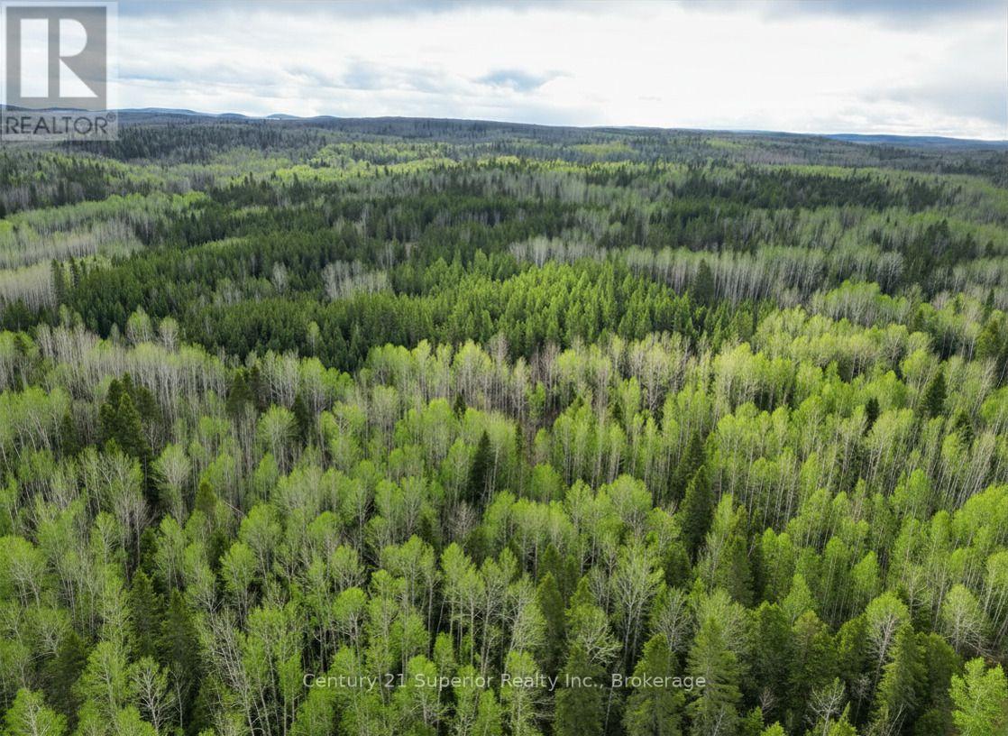 N 1/2 L 10 Centre Road, Thunder Bay Remote Area, Ontario  P0T 1X0 - Photo 12 - X13244858