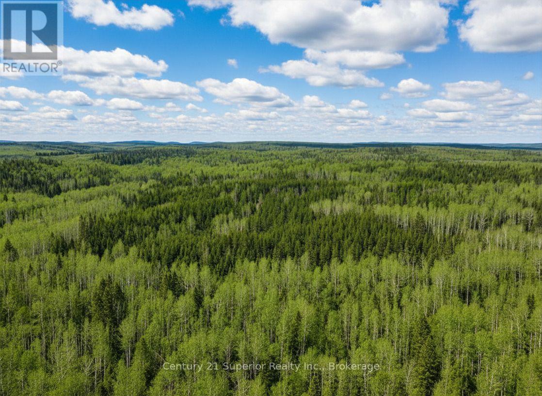 N 1/2 L 10 Centre Road, Thunder Bay Remote Area, Ontario  P0T 1X0 - Photo 18 - X13244858