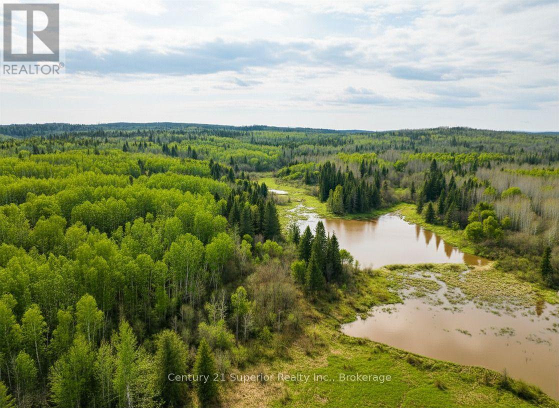 N 1/2 L 10 Centre Road, Thunder Bay Remote Area, Ontario  P0T 1X0 - Photo 19 - X13244858