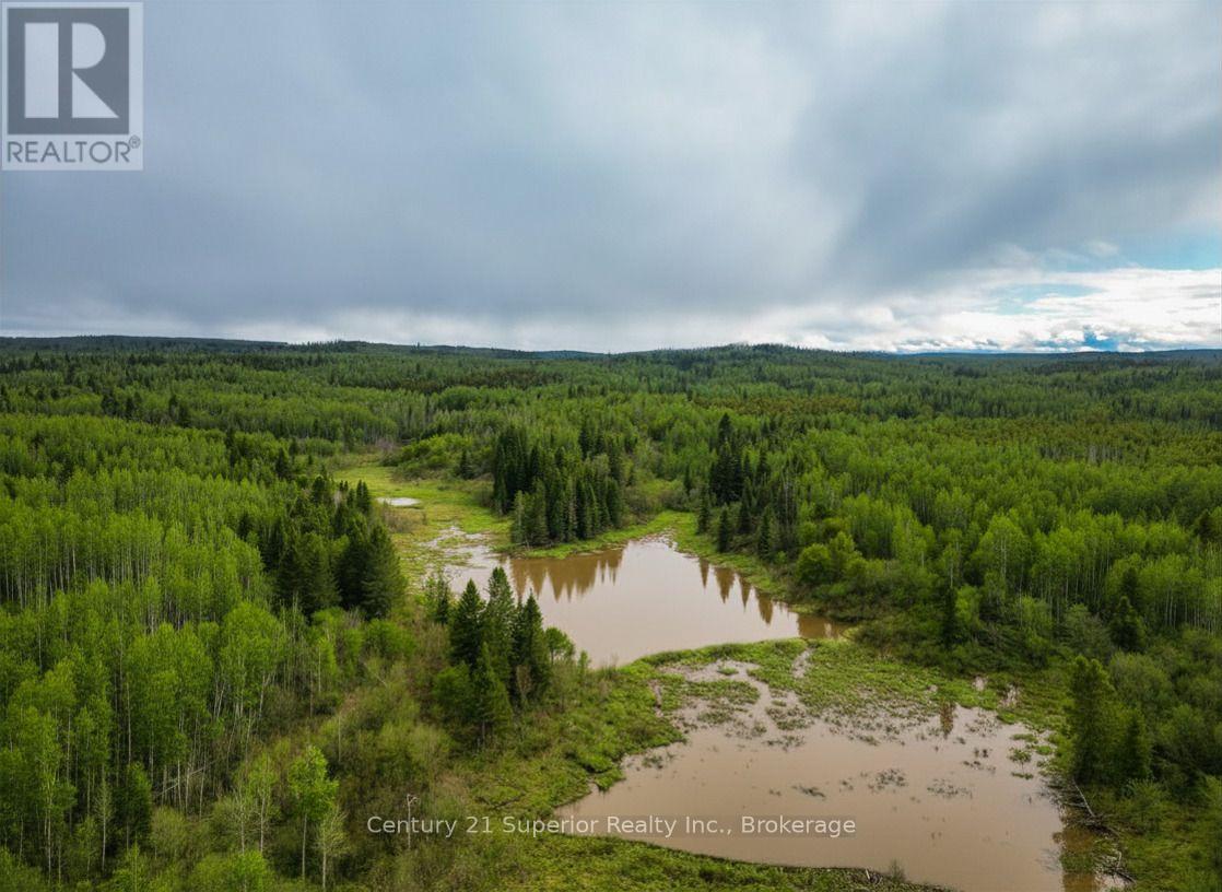 N 1/2 L 10 Centre Road, Thunder Bay Remote Area, Ontario  P0T 1X0 - Photo 16 - X13244858