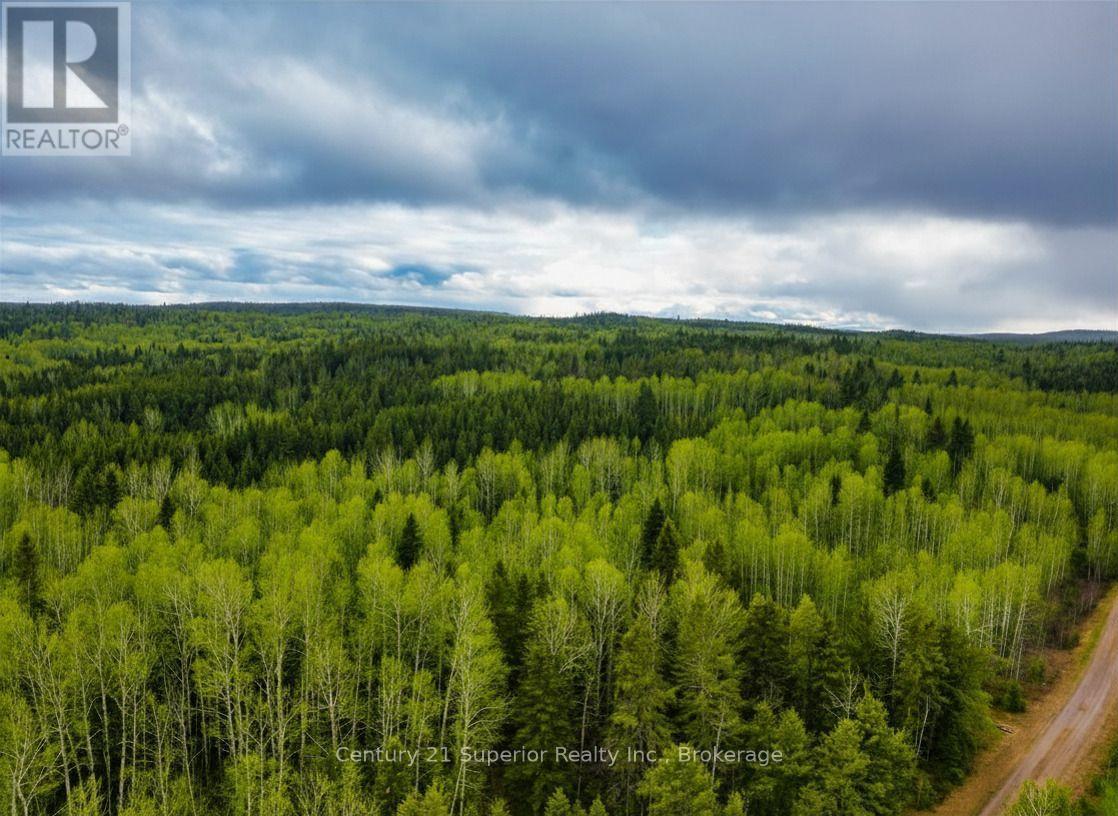 N 1/2 L 10 Centre Road, Thunder Bay Remote Area, Ontario  P0T 1X0 - Photo 3 - X13244858