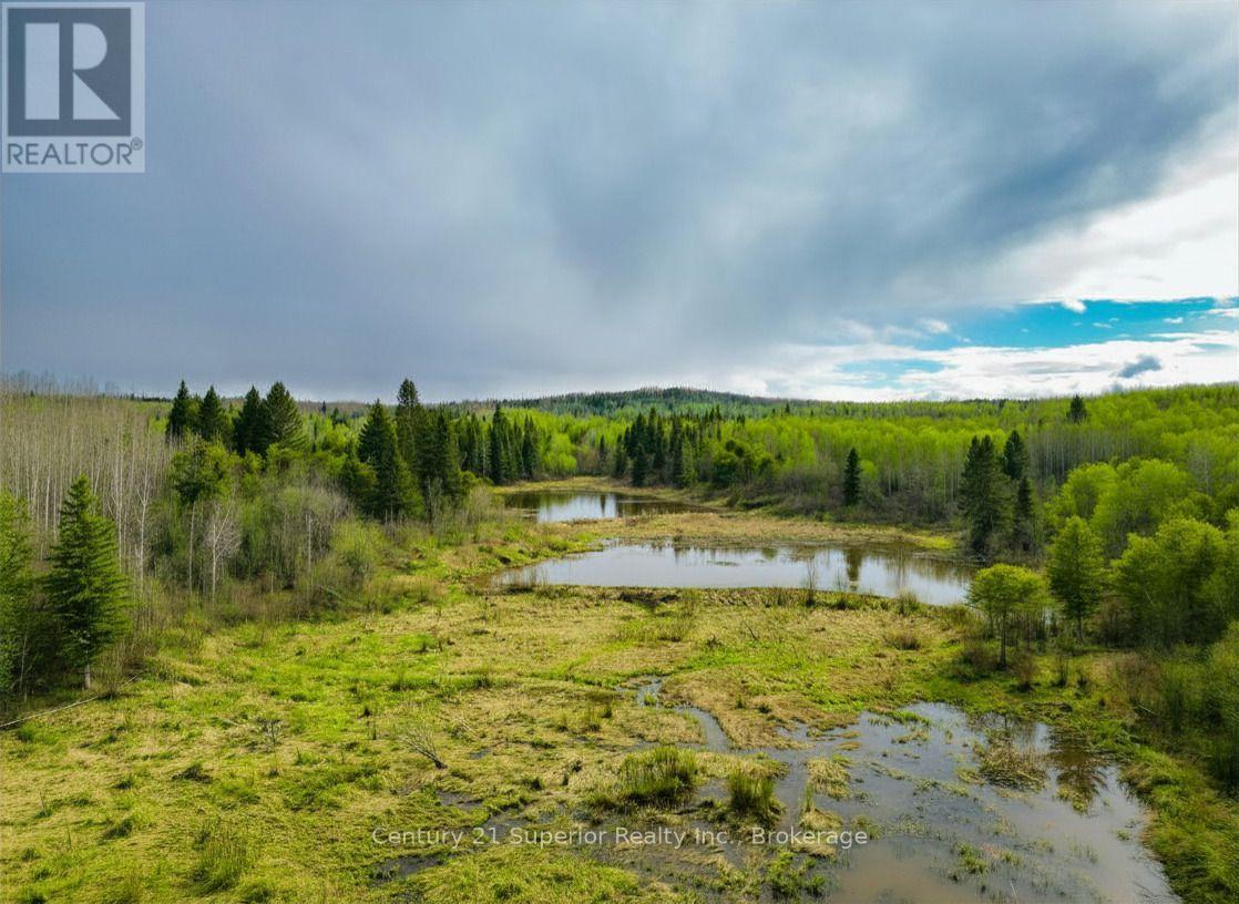 N 1/2 L 10 Centre Road, Thunder Bay Remote Area, Ontario  P0T 1X0 - Photo 4 - X13244858