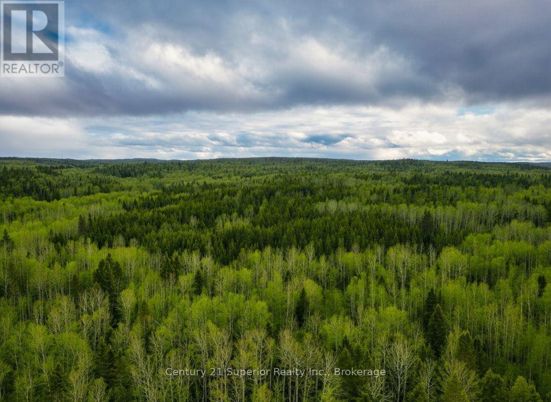 N 1/2 L 10 Centre Road, Thunder Bay Remote Area, Ontario  P0T 1X0 - Photo 9 - X13244858
