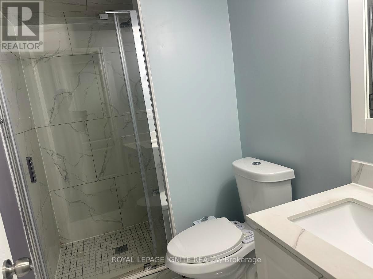 Bsmnt - 90 Kilrea Way, Brampton, Ontario  L6X 0R3 - Photo 7 - W13776338