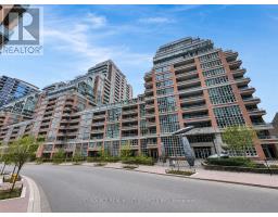 725 - 85 EAST LIBERTY STREET, Toronto, Ontario