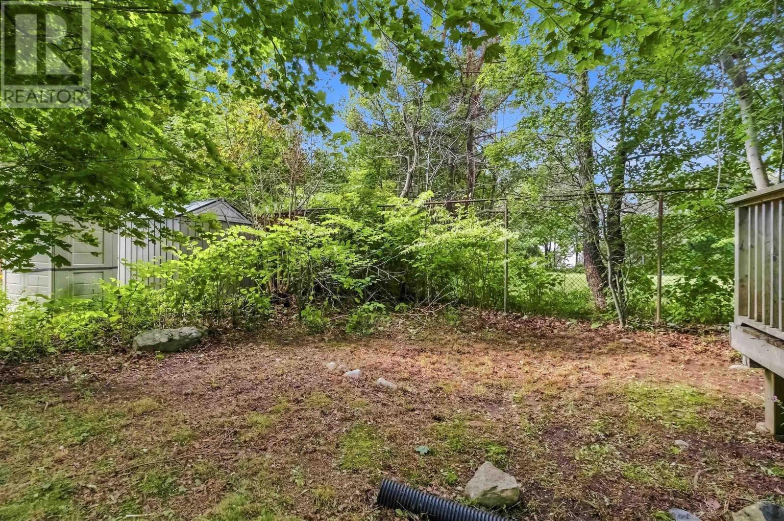 8 Franklyn Street photo 30