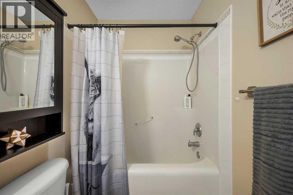 41 Cimarron Meadows Close, Okotoks, Alberta  T1S 1T3 - Photo 26 - A2344419