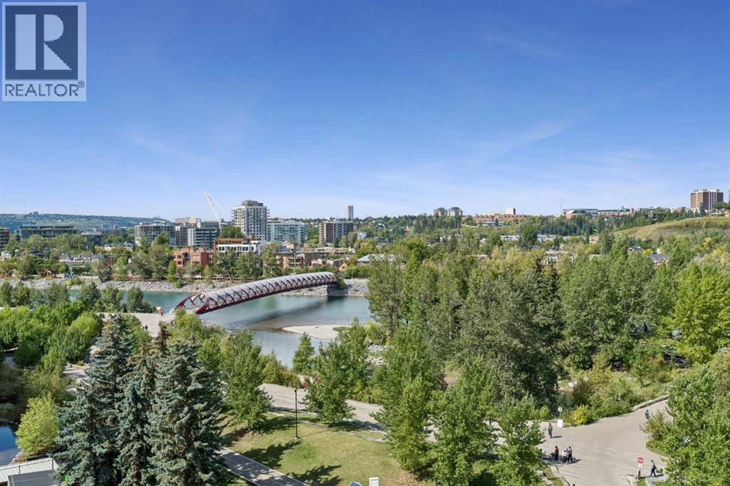 802, 690 Princeton Way Sw, Calgary, Alberta  T2P 5J9 - Photo 26 - A2343025