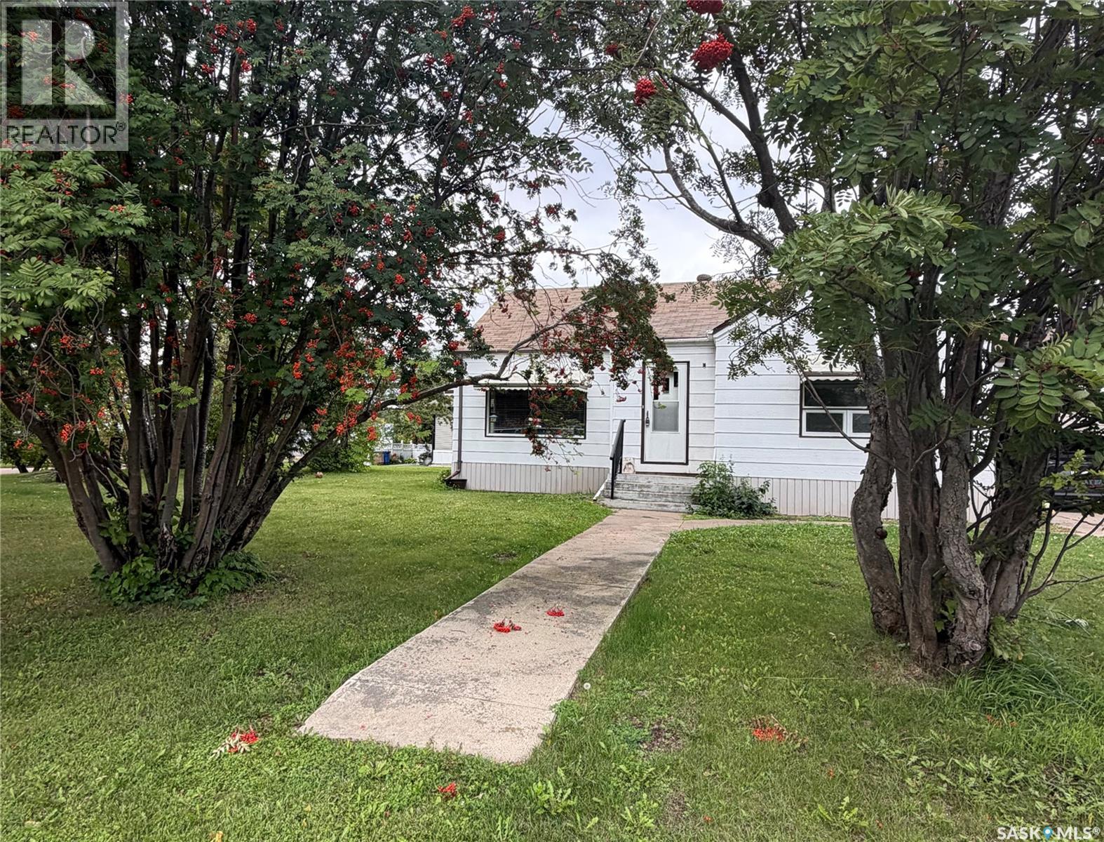 346 Walnut Street, Porcupine Plain, Saskatchewan  S0E 1H0 - Photo 10 - SK048310
