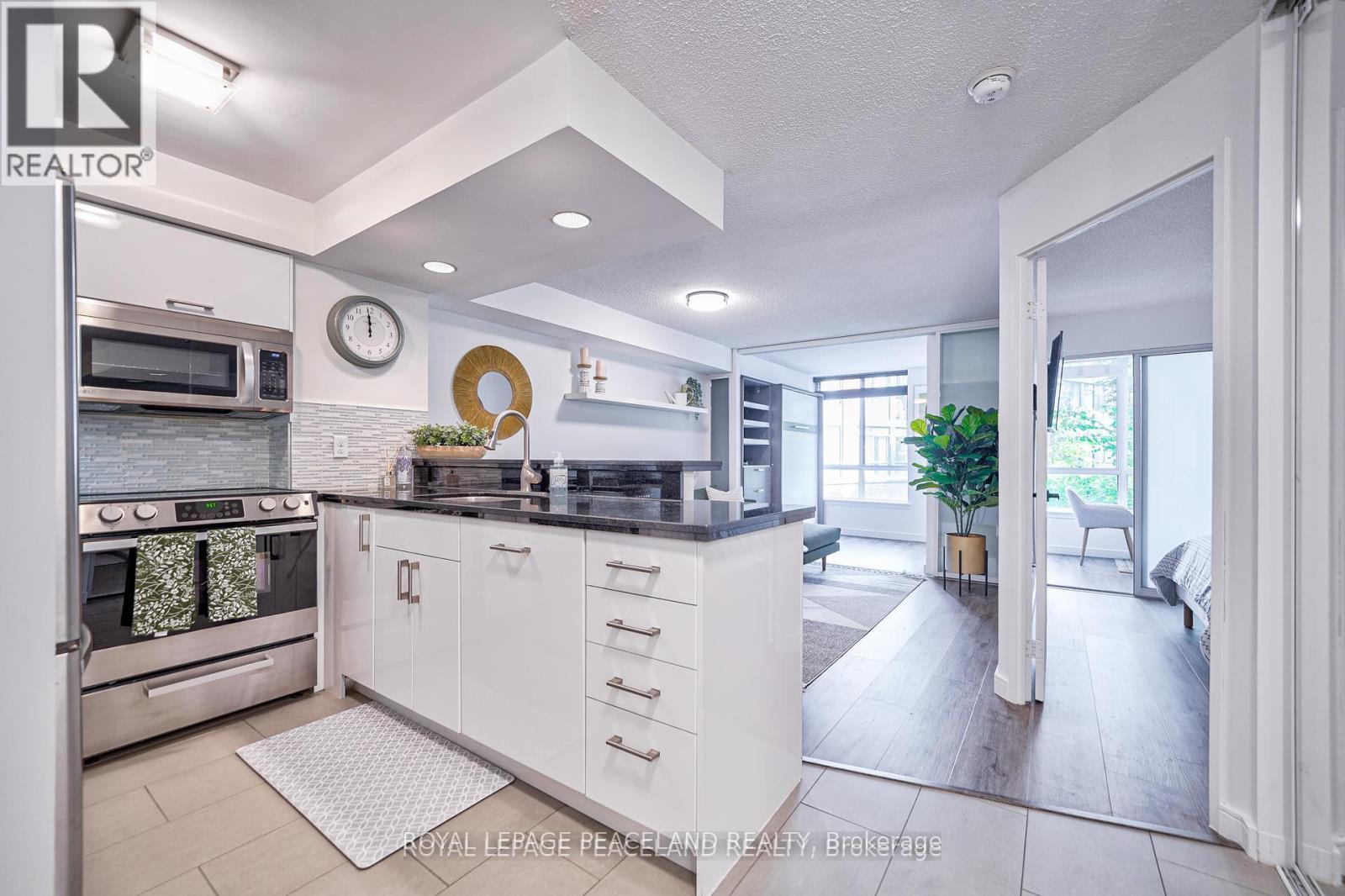 203 - 801 King Street W, Toronto, Ontario  M5V 3C9 - Photo 7 - C13776660