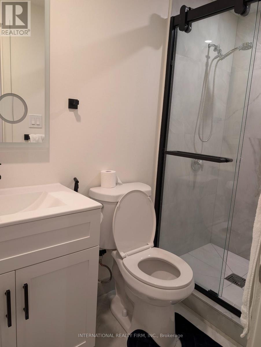 Bsmt - 42 Genuine Lane, Richmond Hill, Ontario  L4B 0E5 - Photo 4 - N13776738