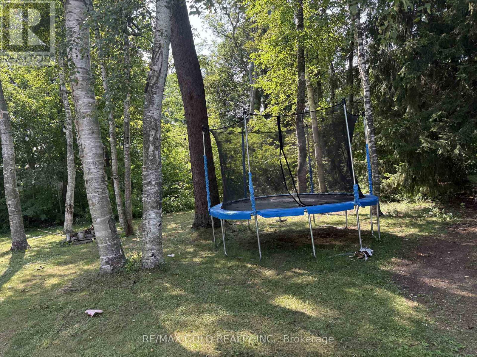366 Beechgrove Drive, Toronto, Ontario  M1E 4A5 - Photo 7 - E13776832