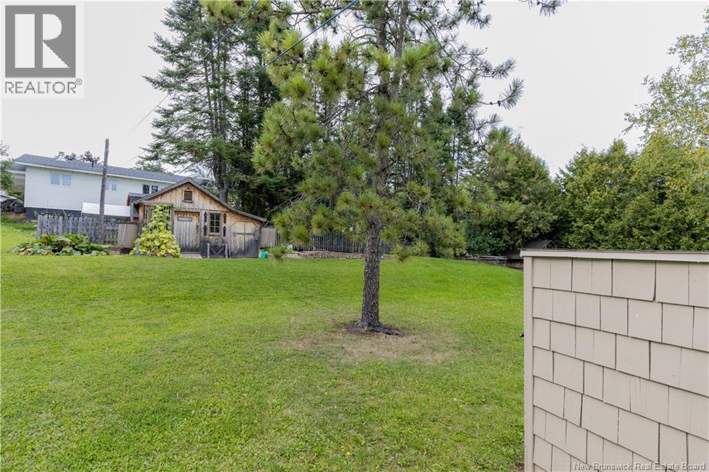 247 Main Street, Plaster Rock, New Brunswick  E7G 2G4 - Photo 44 - NB147485