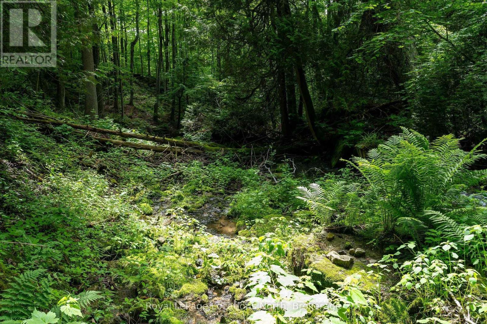 555796 6th Line, Blue Mountains, Ontario  N0H 2E0 - Photo 14 - X13777072