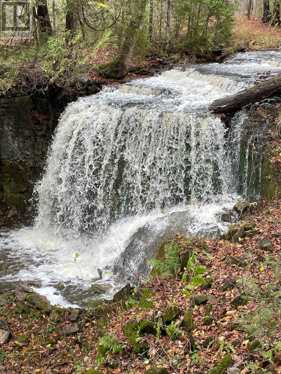 555796 6th Line, Blue Mountains, Ontario  N0H 2E0 - Photo 15 - X13777072