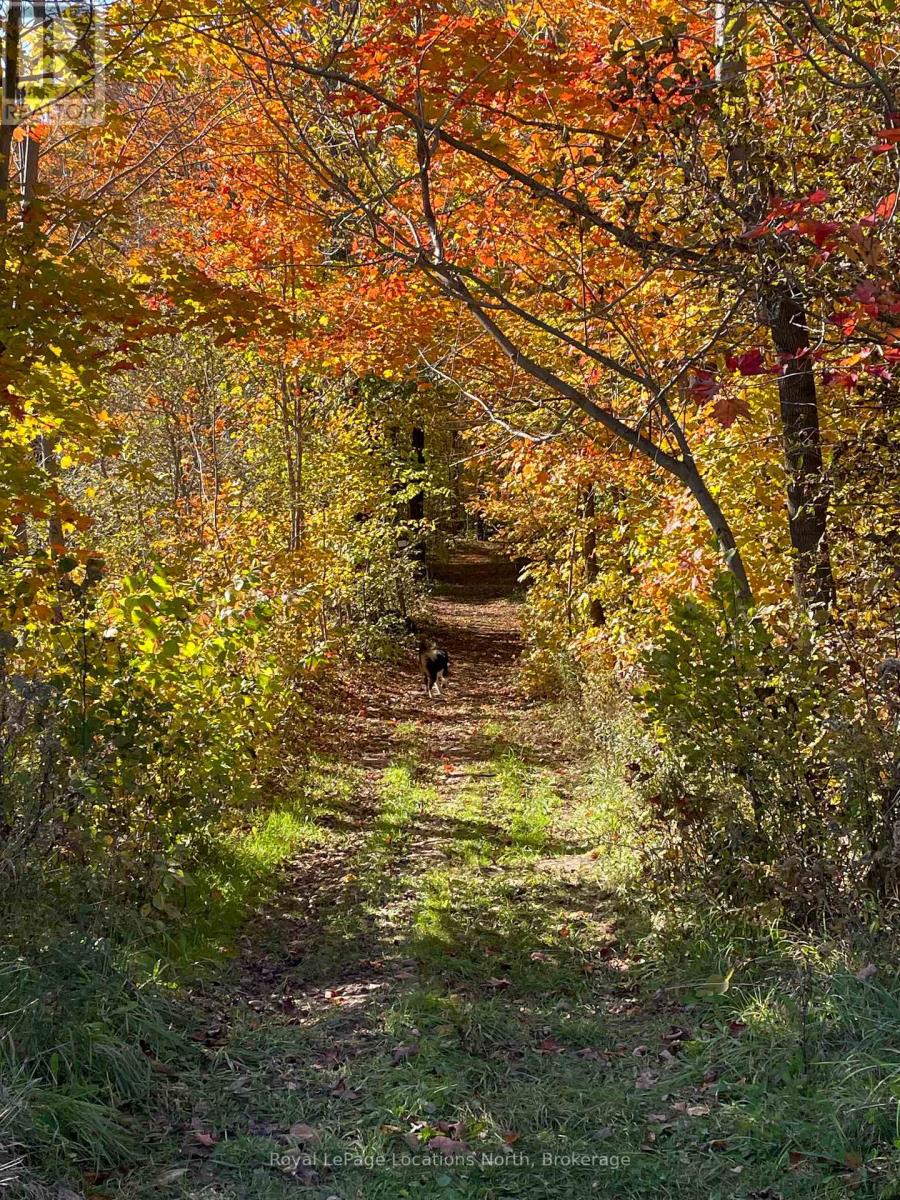 555796 6th Line, Blue Mountains, Ontario  N0H 2E0 - Photo 17 - X13777072