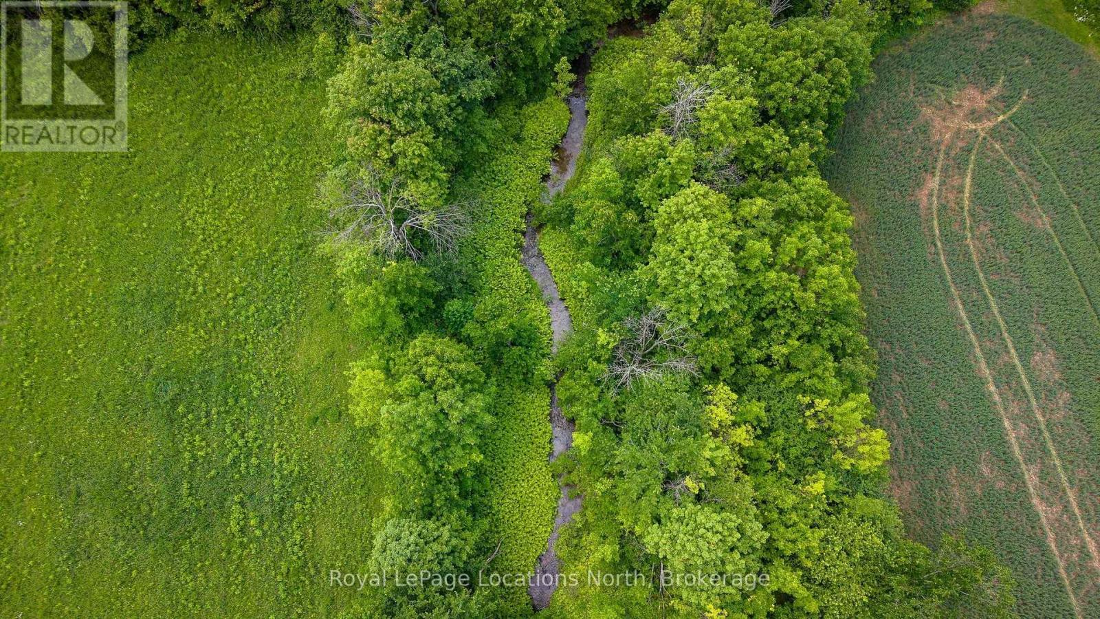 555796 6th Line, Blue Mountains, Ontario  N0H 2E0 - Photo 40 - X13777072