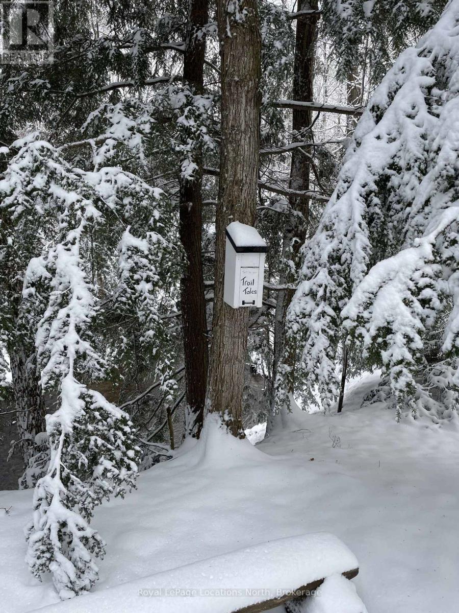 555796 6th Line, Blue Mountains, Ontario  N0H 2E0 - Photo 46 - X13777072