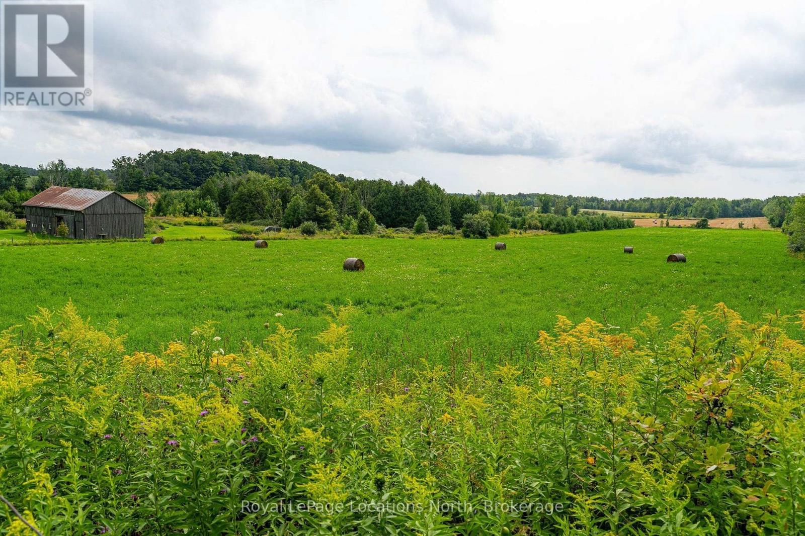 555796 6th Line, Blue Mountains, Ontario  N0H 2E0 - Photo 6 - X13777072