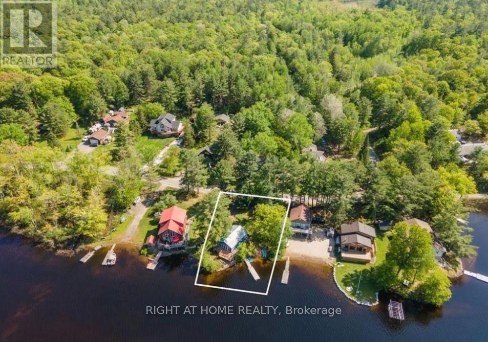 1190 South Morrison Lake Road, Gravenhurst, Ontario  P0E 1G0 - Photo 4 - X13777088