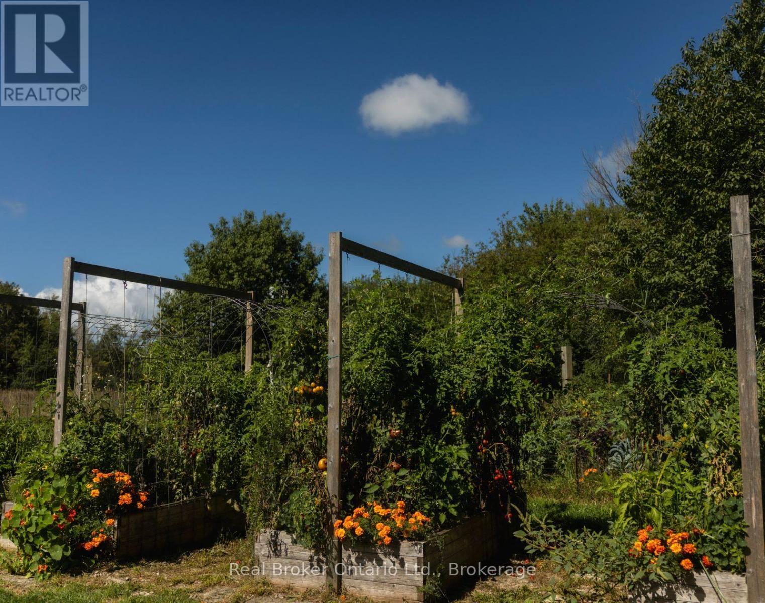 46447 Old Mail Road, Meaford, Ontario  N4L 1W7 - Photo 33 - X13777172