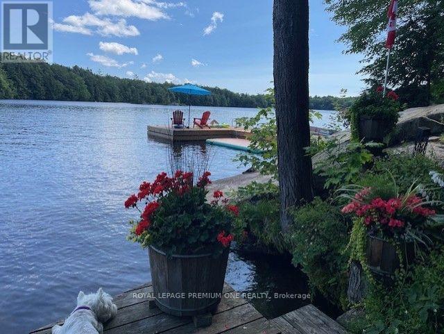 219 Crane Lake Water, The Archipelago, Ontario  P2A 0B7 - Photo 8 - X13576412