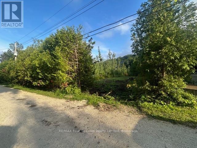 122 James Street, Blue Mountains, Ontario  L9Y 0T6 - Photo 2 - X13229106