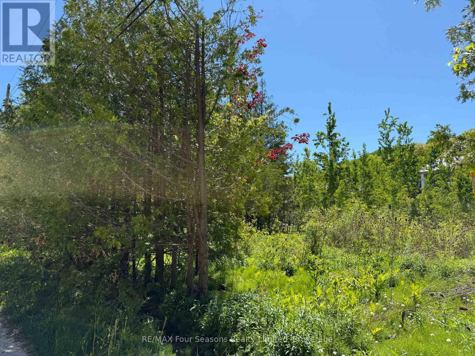 122 James Street, Blue Mountains, Ontario  L9Y 0T6 - Photo 11 - X13229106