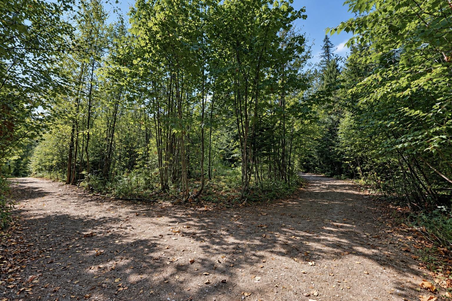 26793 Dogwood Valley Road, Yale 