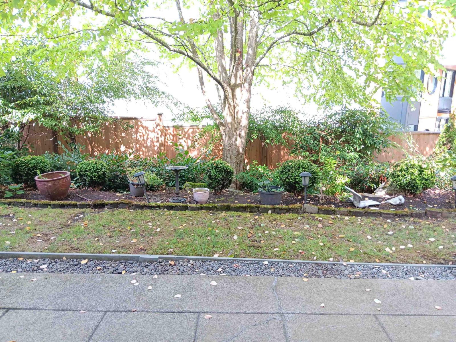 61 2588 152 Street, Surrey, British Columbia  V4P 3H9 - Photo 24 - R3163388