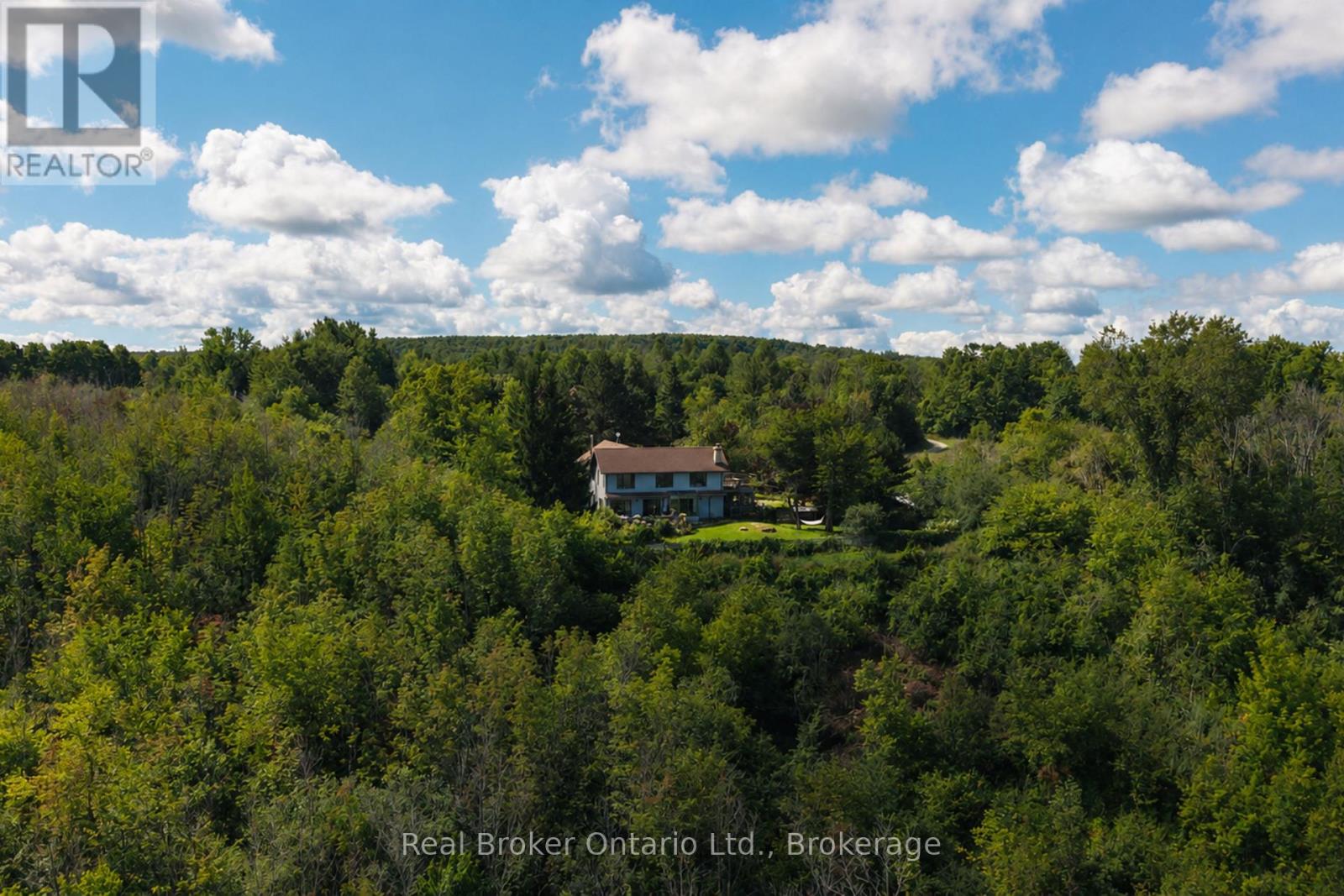 46447 Old Mail Road, Meaford, Ontario  N4L 1W7 - Photo 3 - X13777172