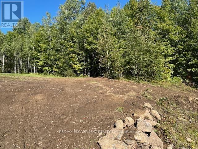 3275 Musclow-Greenview Road, Hastings Highlands, Ontario  K0L 1C0 - Photo 13 - X13777336