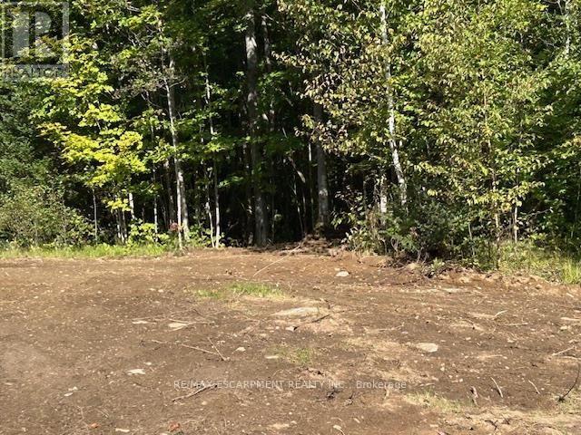 3275 Musclow-Greenview Road, Hastings Highlands, Ontario  K0L 1C0 - Photo 14 - X13777336