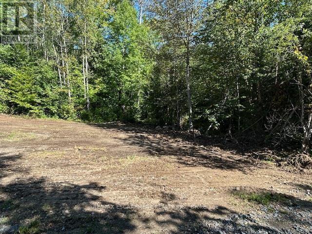 3275 Musclow-Greenview Road, Hastings Highlands, Ontario  K0L 1C0 - Photo 15 - X13777336