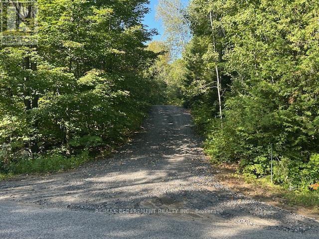 3275 Musclow-Greenview Road, Hastings Highlands, Ontario  K0L 1C0 - Photo 19 - X13777336