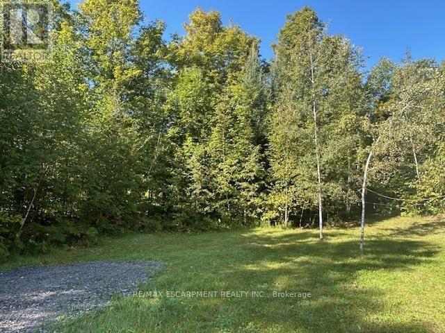 3275 Musclow-Greenview Road, Hastings Highlands, Ontario  K0L 1C0 - Photo 23 - X13777336