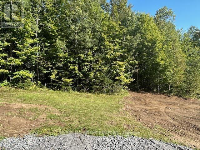 3275 Musclow-Greenview Road, Hastings Highlands, Ontario  K0L 1C0 - Photo 24 - X13777336