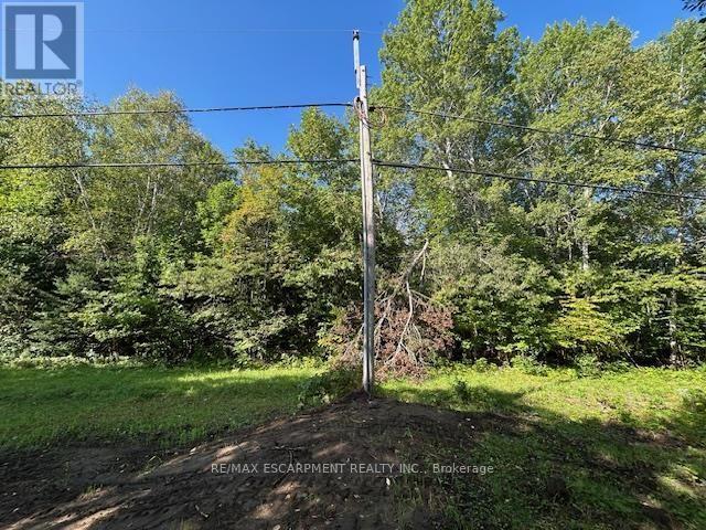 3275 Musclow-Greenview Road, Hastings Highlands, Ontario  K0L 1C0 - Photo 28 - X13777336