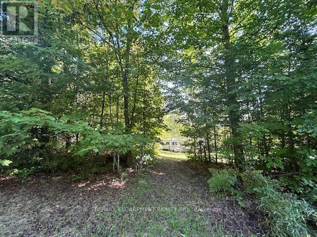 3275 Musclow-Greenview Road, Hastings Highlands, Ontario  K0L 1C0 - Photo 30 - X13777336