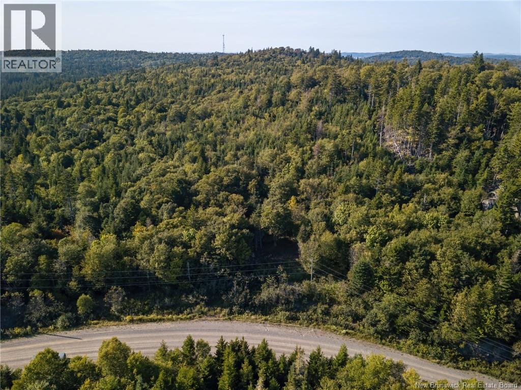 86-106 Fundy Drive, Wilsons Beach, New Brunswick  E5E 1X2 - Photo 2 - NB146740