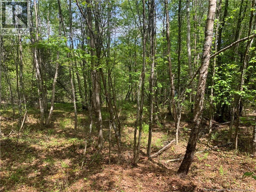 85-158 Harbour Heights Drive, Welshpool, New Brunswick  E5E 1Z5 - Photo 5 - NB147281