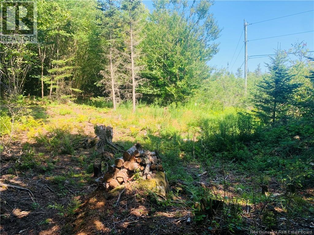 86-106 Fundy Drive, Wilsons Beach, New Brunswick  E5E 1X2 - Photo 5 - NB146740
