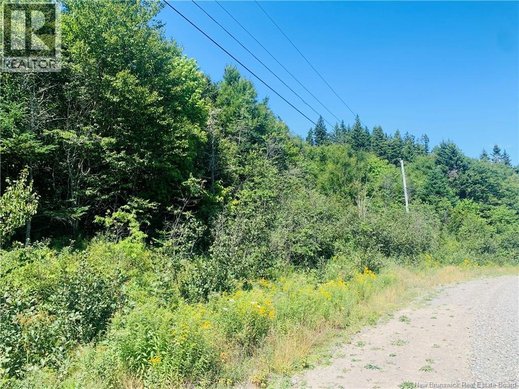86-106 Fundy Drive, Wilsons Beach, New Brunswick  E5E 1X2 - Photo 4 - NB146740