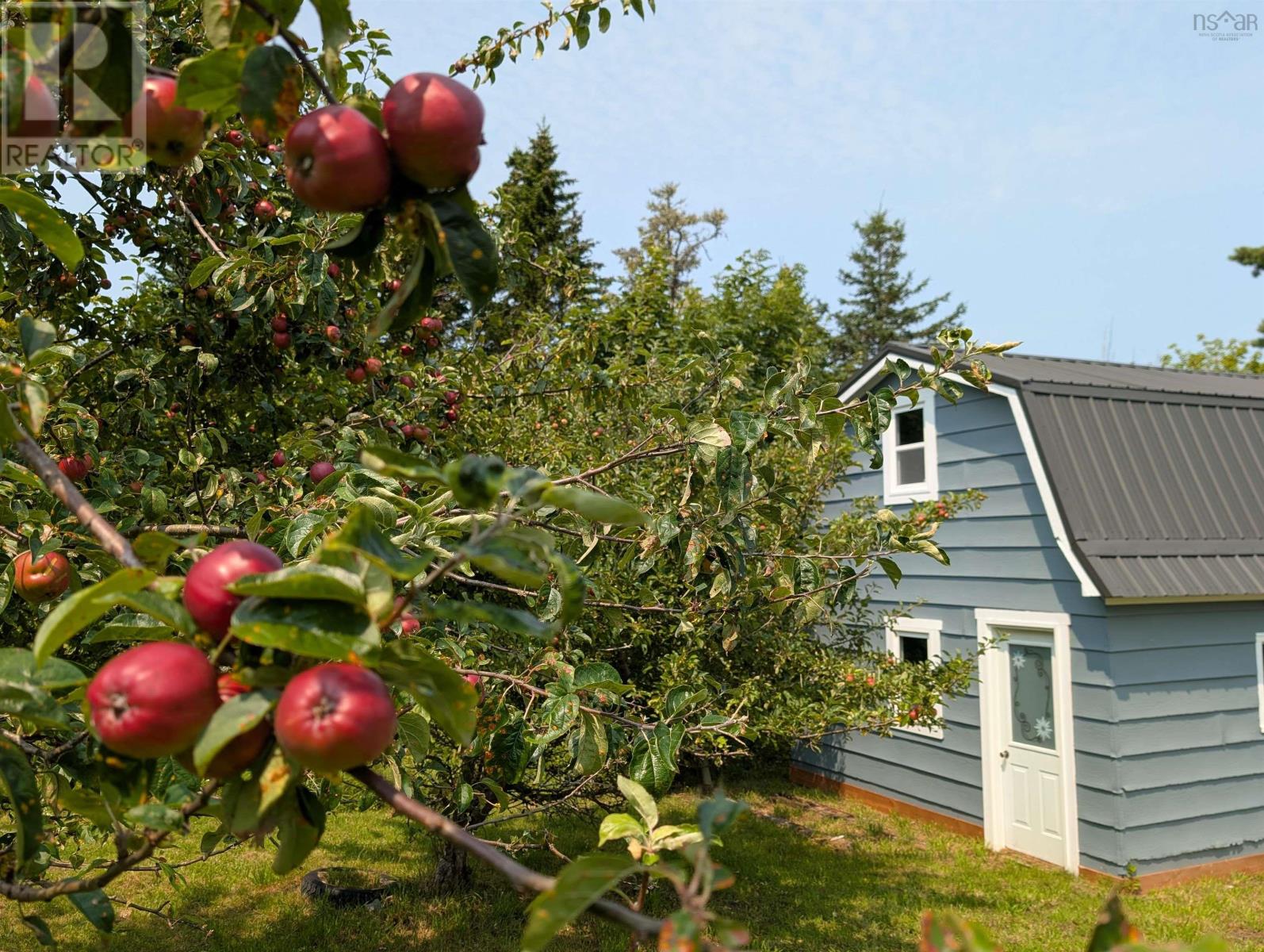 89 Stoney Island Road, North East Point, Nova Scotia  B0W 2P0 - Photo 48 - 202602918