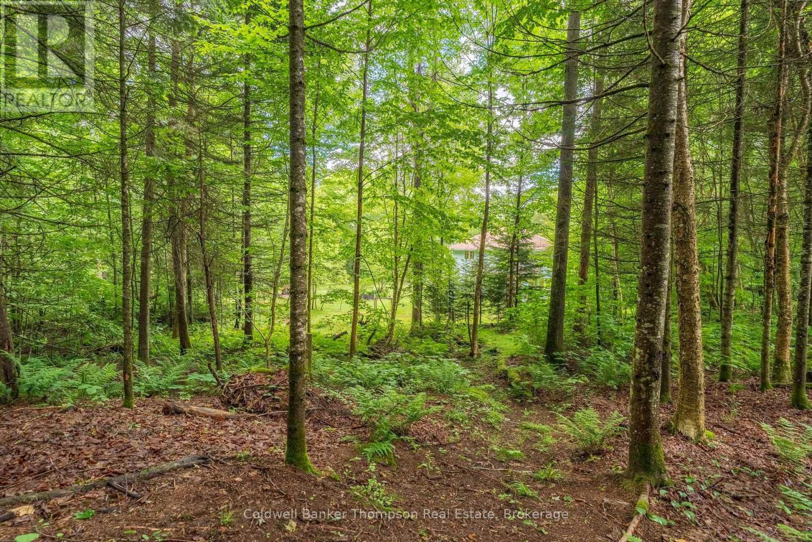 312 Old Aspdin Road, Huntsville, Ontario P0B 1M0 - Photo 37 - X13777560