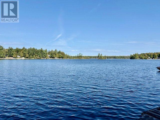 1803 Crystal Lake Road, Trent Lakes, Ontario  K0M 2A0 - Photo 36 - X13740886