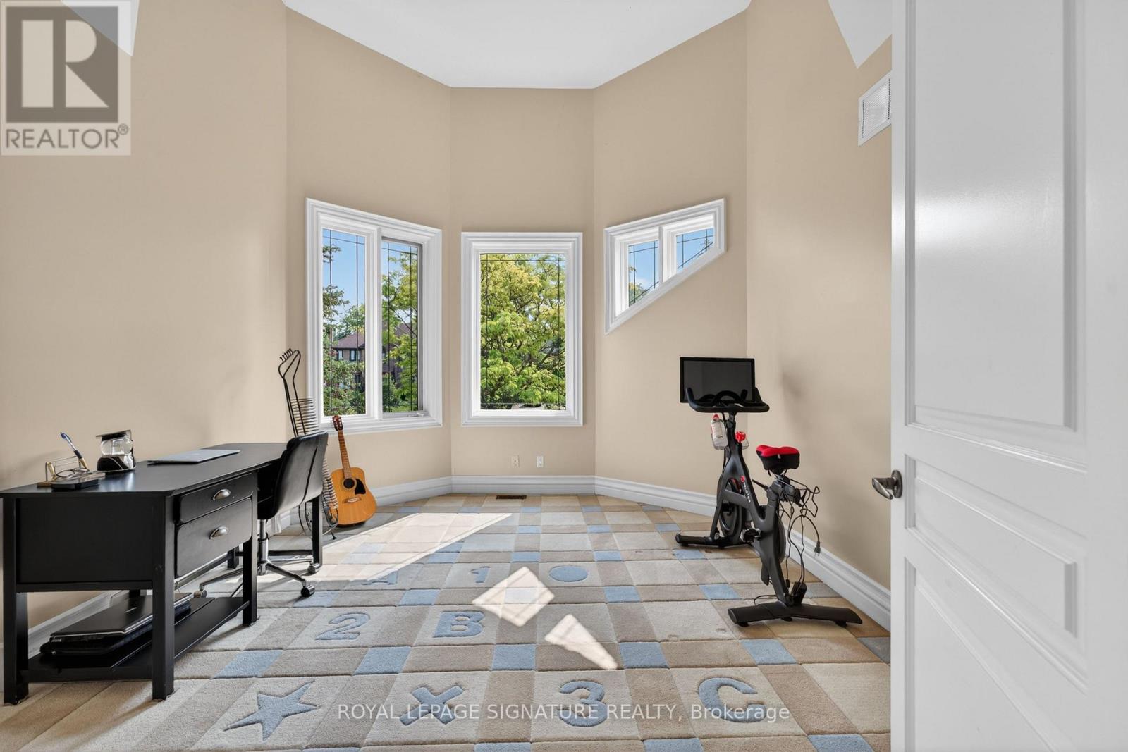217 Garden Avenue, Richmond Hill, Ontario  L4C 6L8 - Photo 22 - N13428594