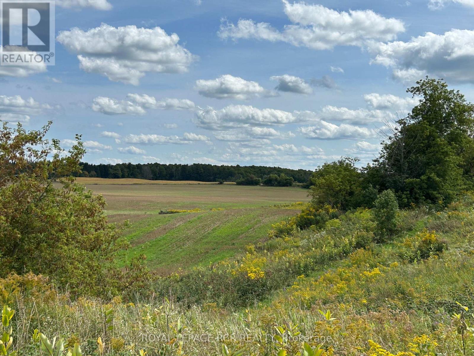 Pt2 Lt29 2nd Line, Amaranth, Ontario  L9V 1L6 - Photo 12 - X13649430