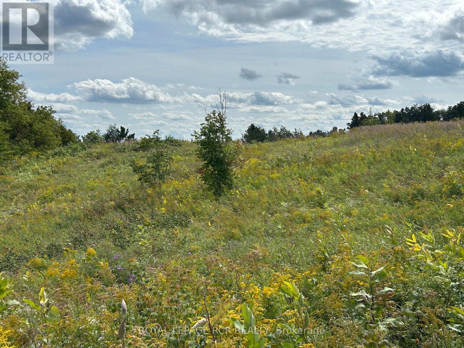 Pt2 Lt29 2nd Line, Amaranth, Ontario  L9V 1L6 - Photo 26 - X13649430